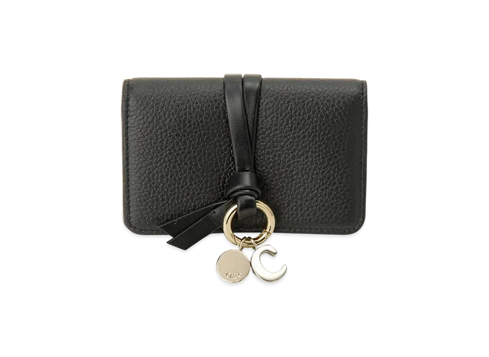 Chloe(クロエ) バッグ・財布 人気の新作/中古通販【スニーカー