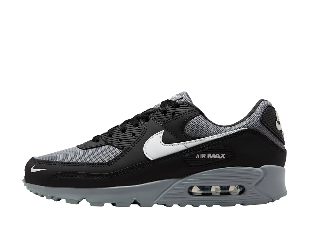 Nike Air Max 90 "Anthracite"