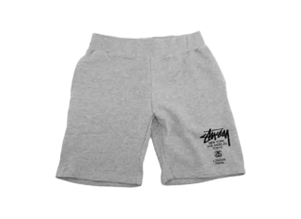 Stussy WT Sweat "Grey"