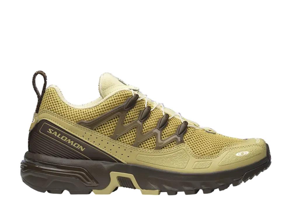 サロモン ACS + OG "グリーンヘイズ/グレーグリーン/デリシオソ"