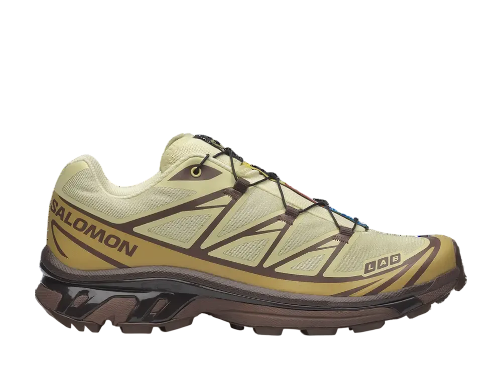 Salomon XT-6 "Dusty Yellow/French Roast/Antique Gold"