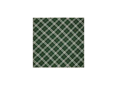 Burberry Check Silk Scarf "Dark Fern"
