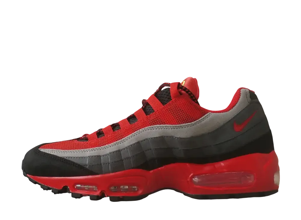 ナイキ エアマックス95 "エキデンパック/城西大学"