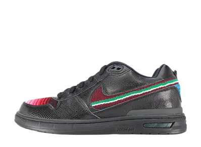 Nike Paul Rodriguez Zoom Air Elite "Michael Hernandez"