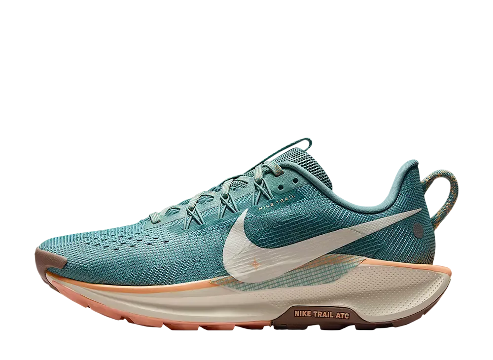 ナイキ ウィメンズ ペガサス トレイル5 "キャノン/ミンクブラウン/オレンジチョーク/ソフトパール"