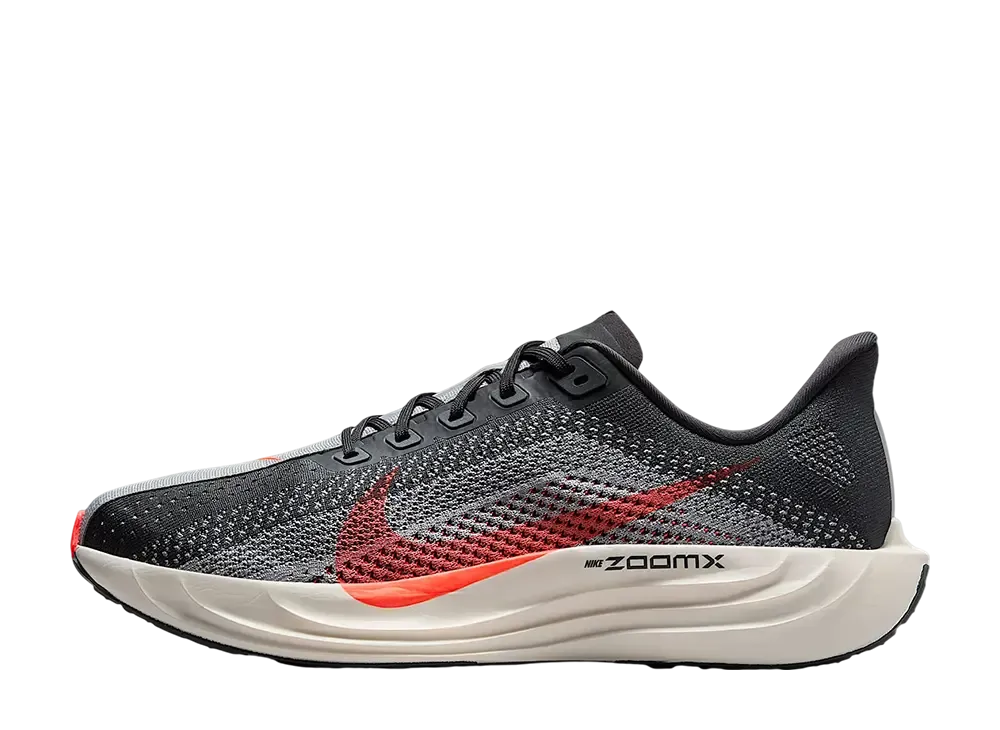 ナイキ ペガサスプラス "アンスラサイト/ライトスモークグレー/ファントム/ブライトクリムゾン"