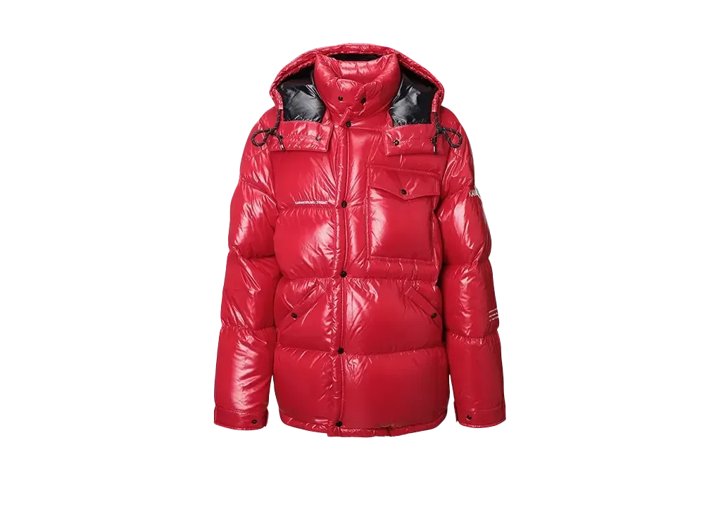 MONCLER 7 FRGMT Hiroshi Fujiwara Anthemium Down Jacket "Cherrybeige"
