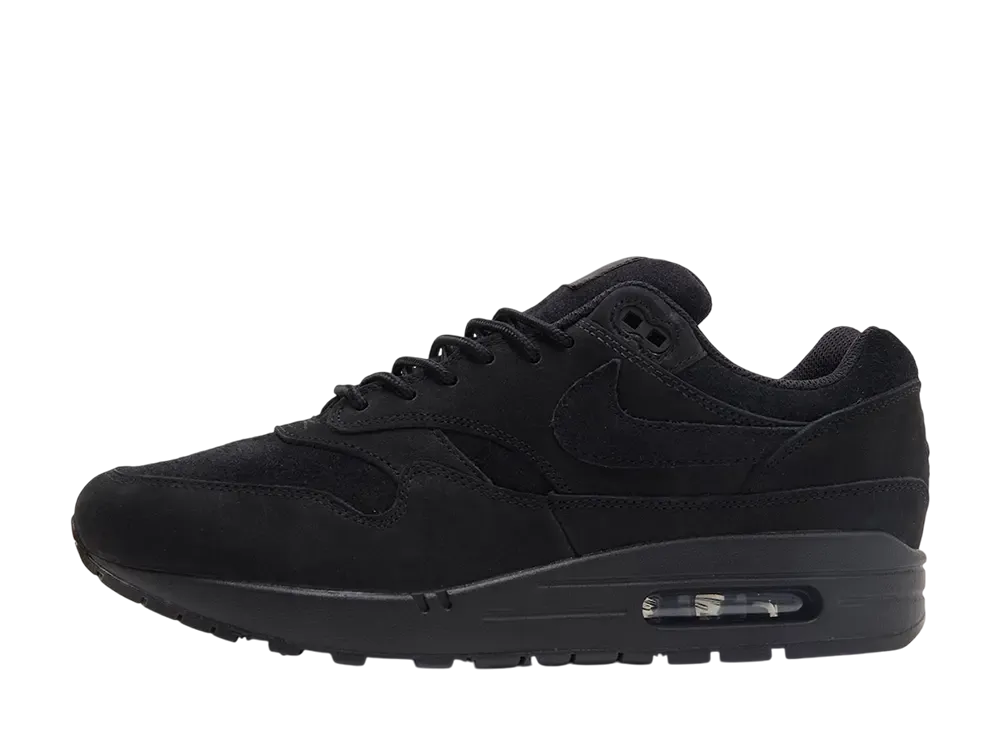 ナイキ エアマックス1 "ブラックキャット"