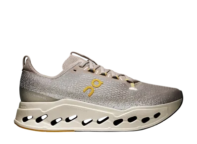 On Cloudsurfer Max "Cinder/Pelican"