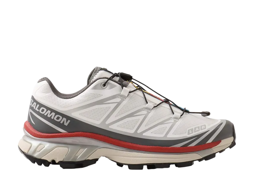 サロモン XT-6 "鶴" (アトモス エクスクルーシブ)