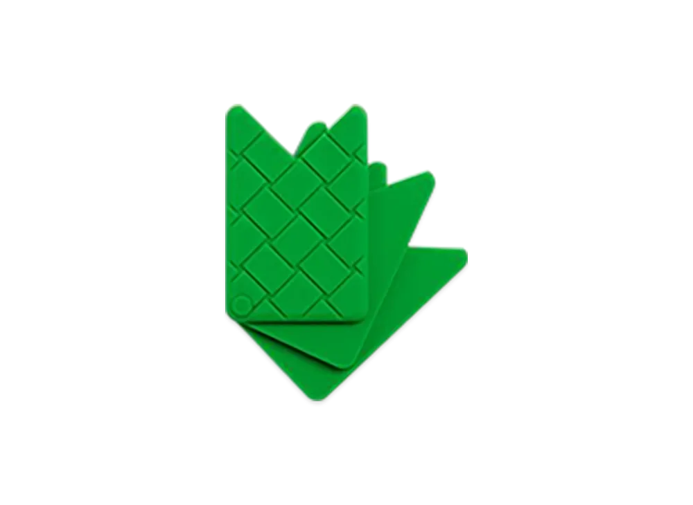 Bottega Veneta Fan Card Case "Parakeet"