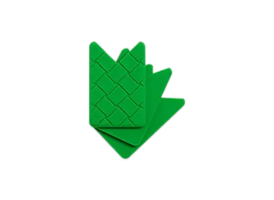 Bottega Veneta Fan Card Case "Parakeet"