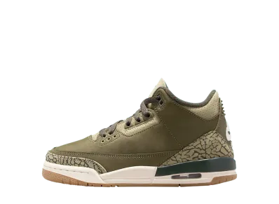 Nike GS Air Jordan 3 "Family Affair"