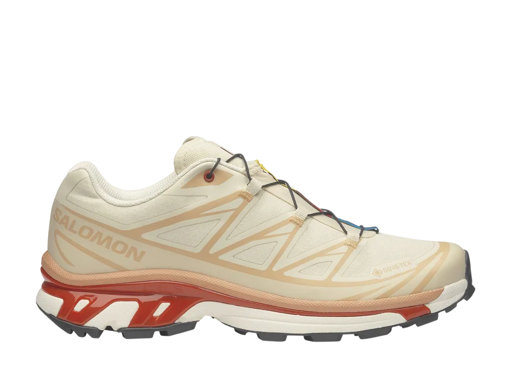 サロモン XT-6 ゴアテックス "アーモンドミルク/ソフトクレイ/バーントオーカー"