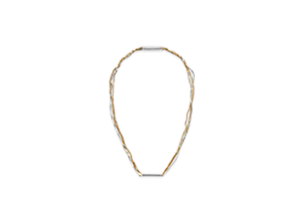Bottega Veneta Detail Chain Necklace "Silver/Yellow Gold"