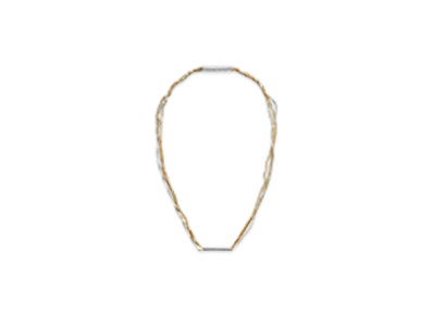 Bottega Veneta Detail Chain Necklace "Silver/Yellow Gold"