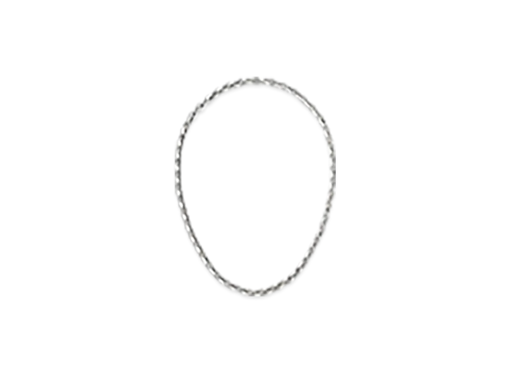 Bottega Veneta Shape Chain Necklace "Silver"