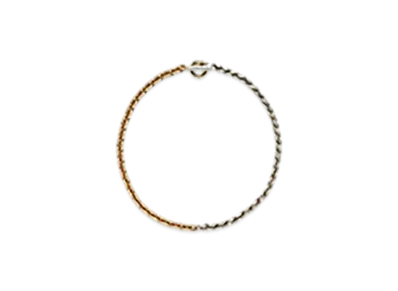 Bottega Veneta Chain "Argento Antique"