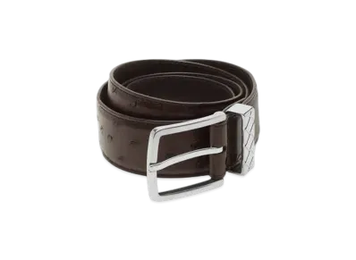 Bottega Veneta Intreccio Loop Belt "Fondente"