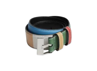 Bottega Veneta Watch Buckle Belt "Rainbow/White"