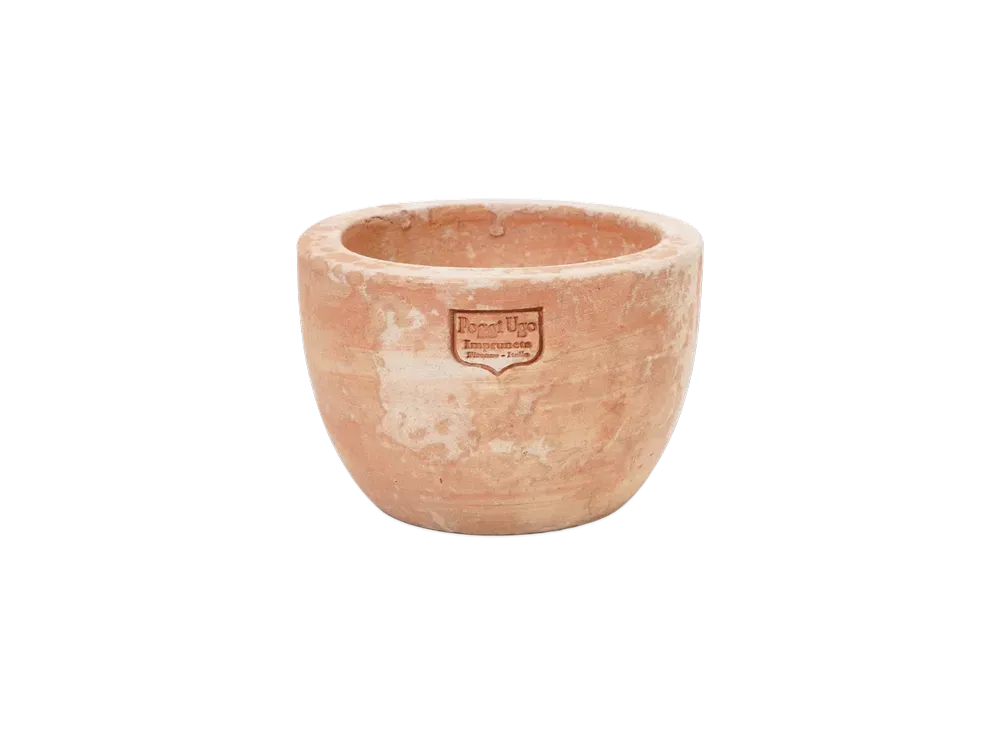 Supreme / Poggi Ugo Small Planter 