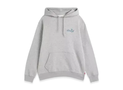 LEVI'S SilverTab Relaxed Graphic Hoodie "Grey"