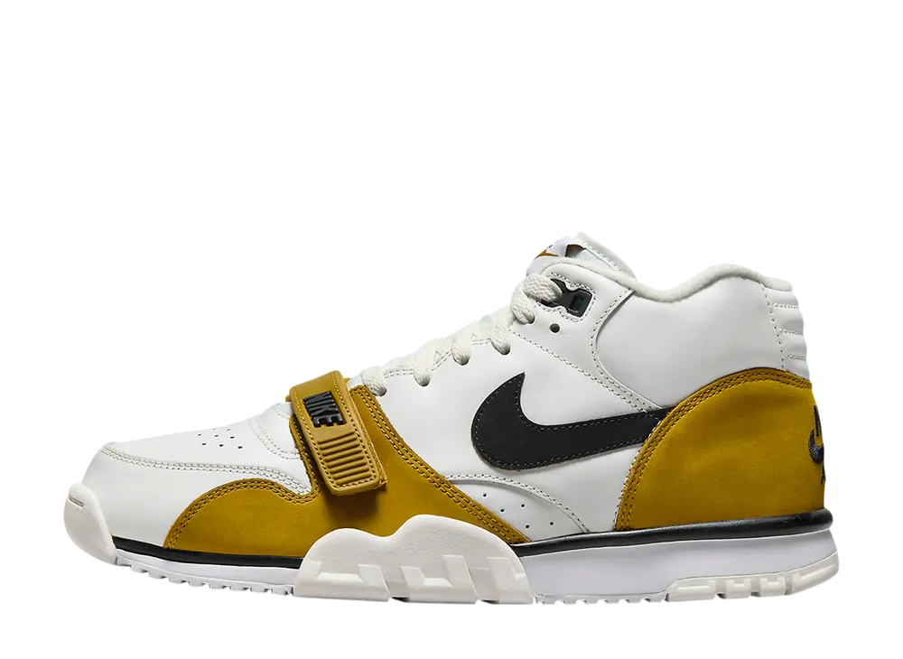 ナイキ エアトレーナー1 "ブロンジン"