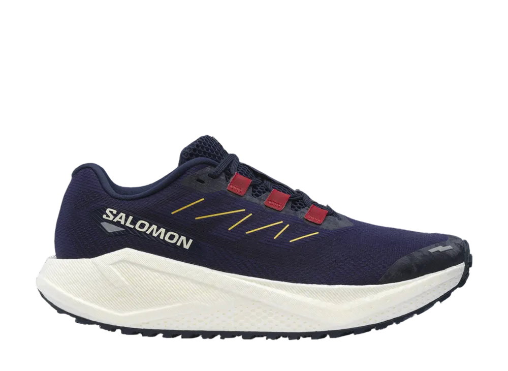 Salomon Aero Blaze 3 GRVL "Astral Aura/Maritime Blue/Haute Red"