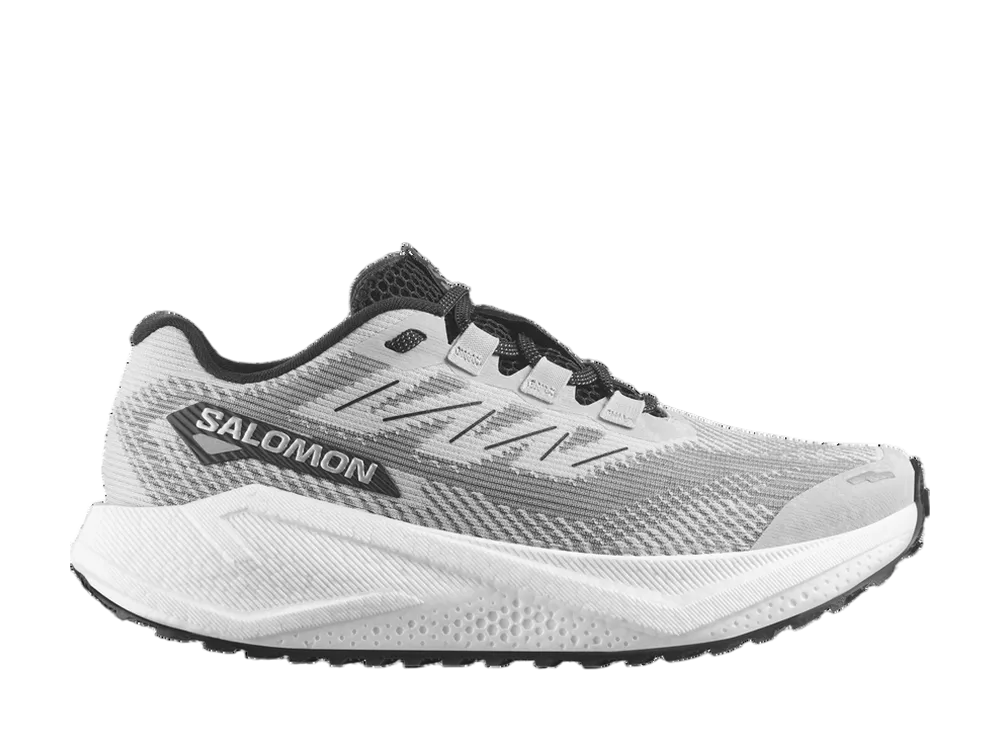 サロモン エアロブレイズ3 グラベル "ルナロック/ホワイト/ブラック"