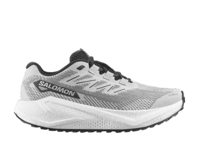 Salomon Aero Blaze 3 GRVL "Lunar Rock/White/Black"
