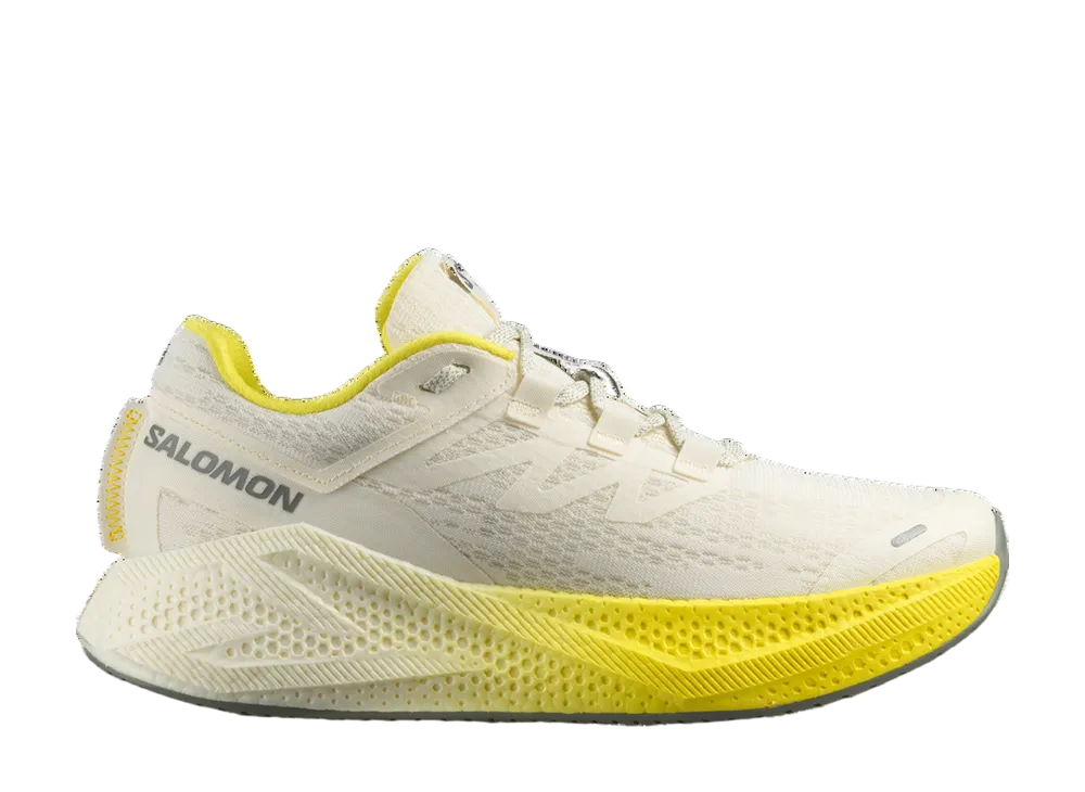 サロモン エアログライド3 "バニラアイス/ブレイジングイエロー/セドナセージ"