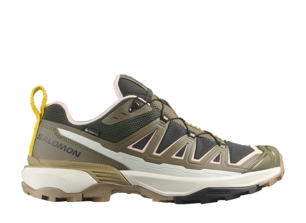 Salomon X Ultra 360 Edge GORE-TEX "Phantom/Stone Gray/Incaberry"