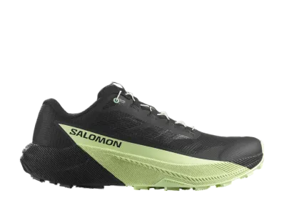 Salomon Pulsar "Black/Black/Patina Green"