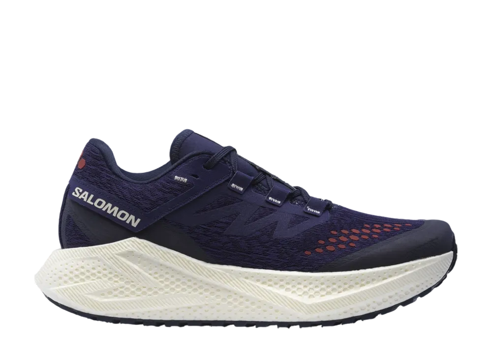 サロモン エアログライド3 グラベル "アストラルオーラ/バニラアイス/オートレッド"