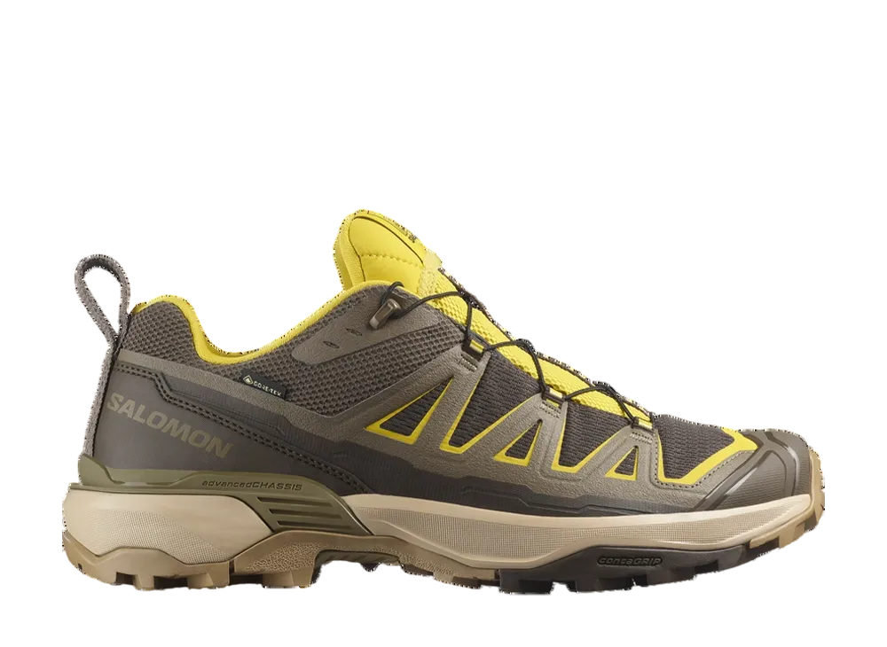 Salomon X Ultra 360 Edge GORE-TEX "Wren/Stone Gray/Cress Green"