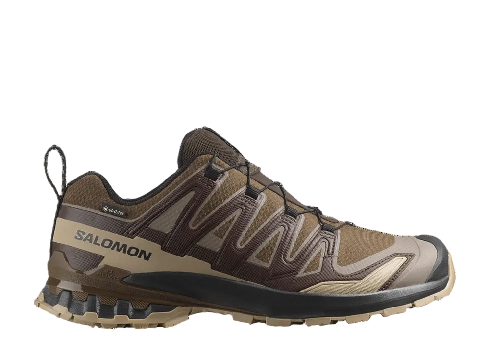 サロモン XA プロ 3D V9 ゴアテックス "ダークアース/デザートタン/ブラック"
