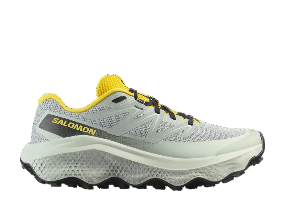 サロモン ウルトラフロー2  "ロートアイアン/メタル/インカベリー"