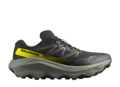 Salomon Ultra Flow 2 GORE-TEX "Black/Sedona Sage/Incaberry"