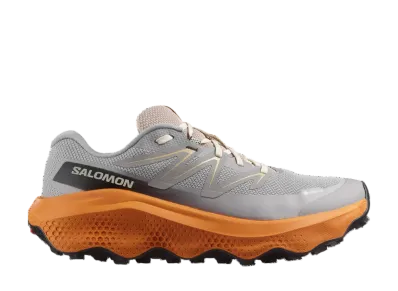 Salomon Ultra Flow 2 GORE-TEX "Gull/Turmeric/White Pepper"