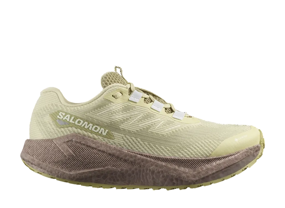 Salomon Women's Aero Blaze 3 GRVL GORE-TEX "Green Haze/Iron/Ice Flow"