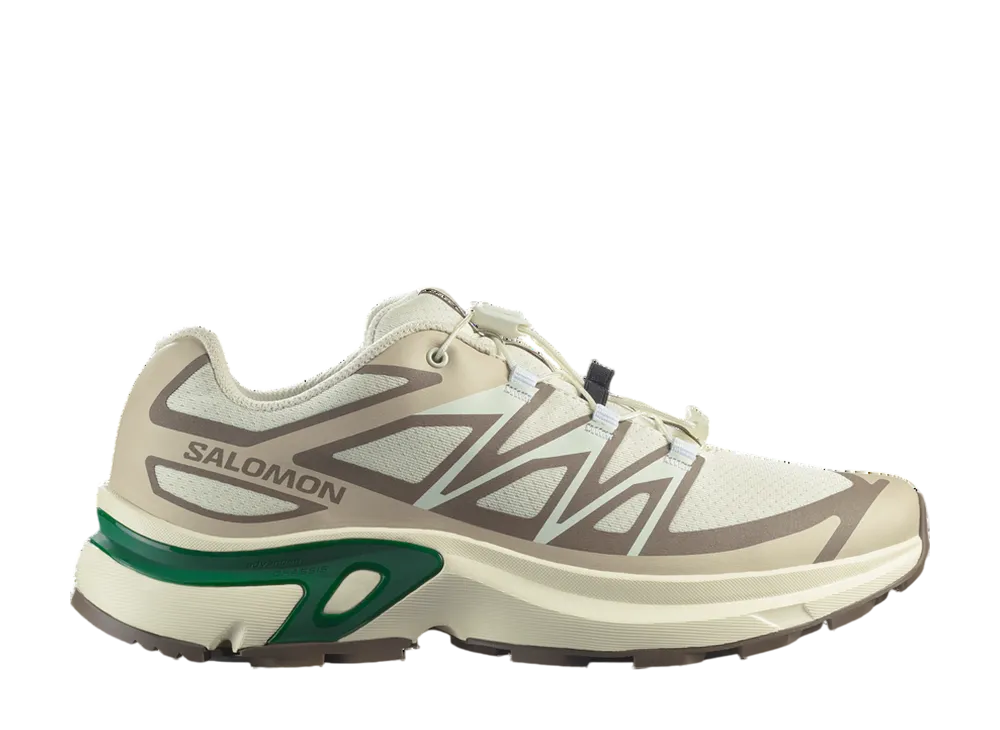 サロモン ウィメンズ XT-EVR "バニラアイス/レイニーデイ/エデン"