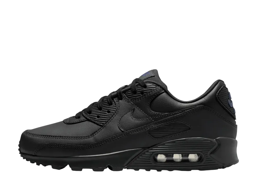 ナイキ エアマックス90 "ダークスモークグレー/サンデッドパープル"