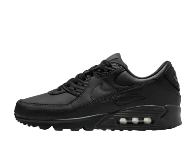 Nike Air Max 90 "Dark Smoke Grey/Sanded Purple"
