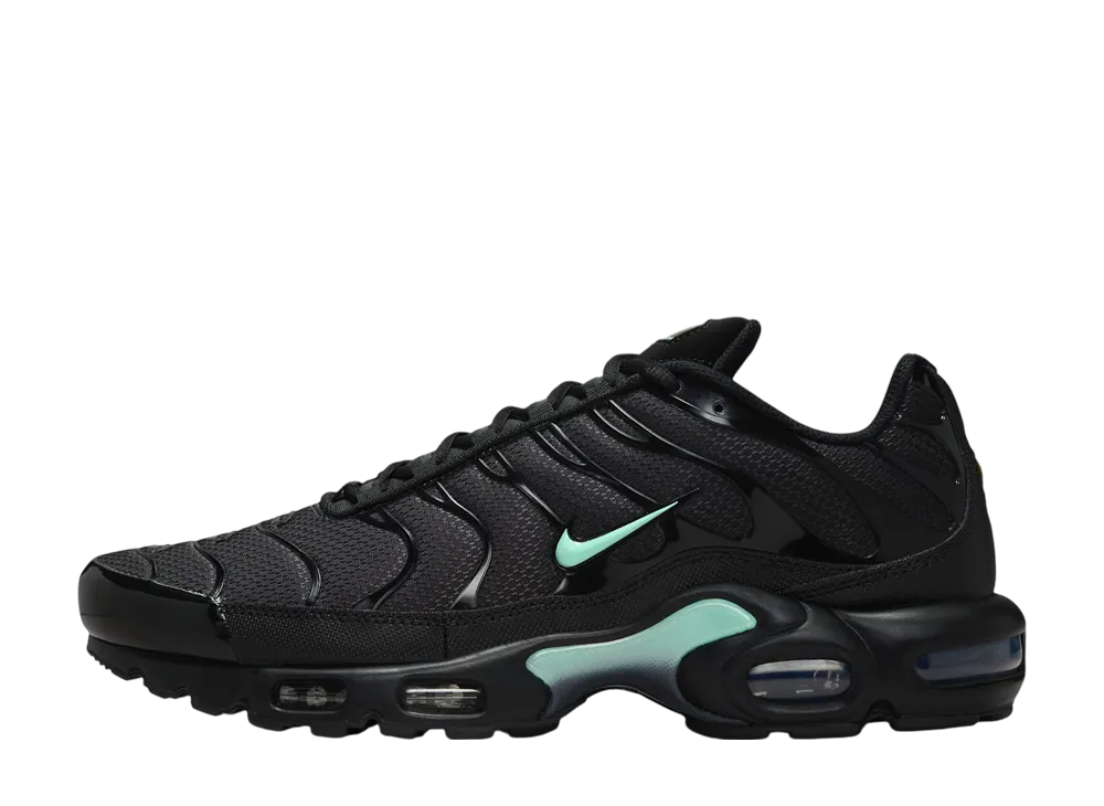 Nike Air Max Plus "Black/Mint"