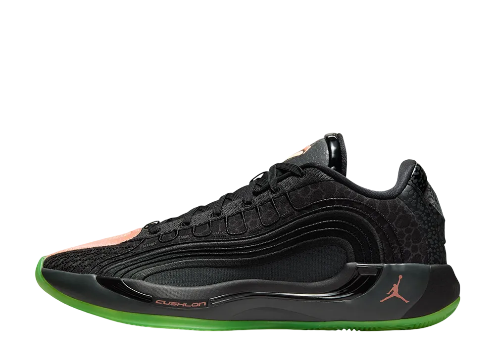 ナイキ ジョーダン ルカ4 "サファリ"