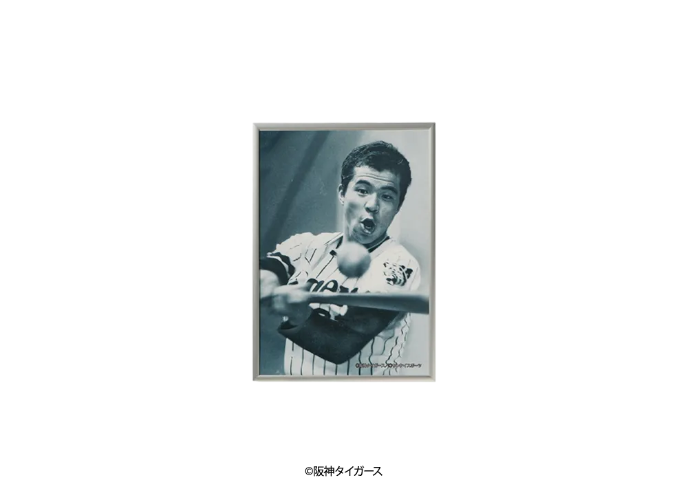 阪神タイガース90周年記念 \ SANKEI SPORTS TIGERS LEGENDS Photo Frame A4 ver. No.11 "MULTI"