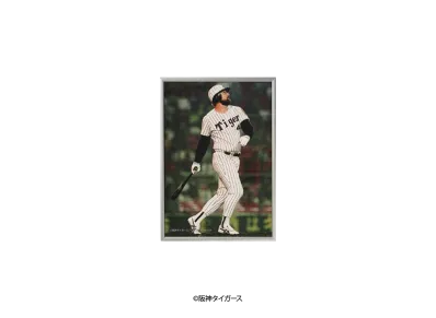 阪神タイガース90周年記念 \ SANKEI SPORTS TIGERS LEGENDS Photo Frame A4 ver. No.5 "MULTI"