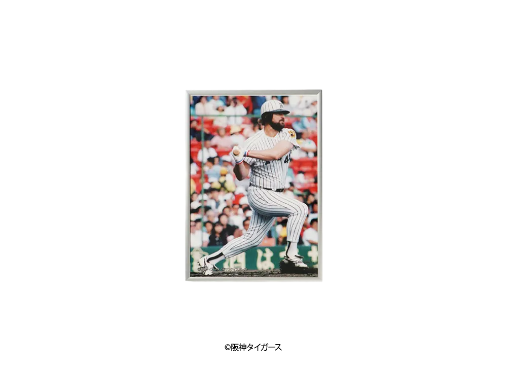 阪神タイガース90周年記念 \ SANKEI SPORTS TIGERS LEGENDS Photo Frame A4 ver. No.2 "MULTI"