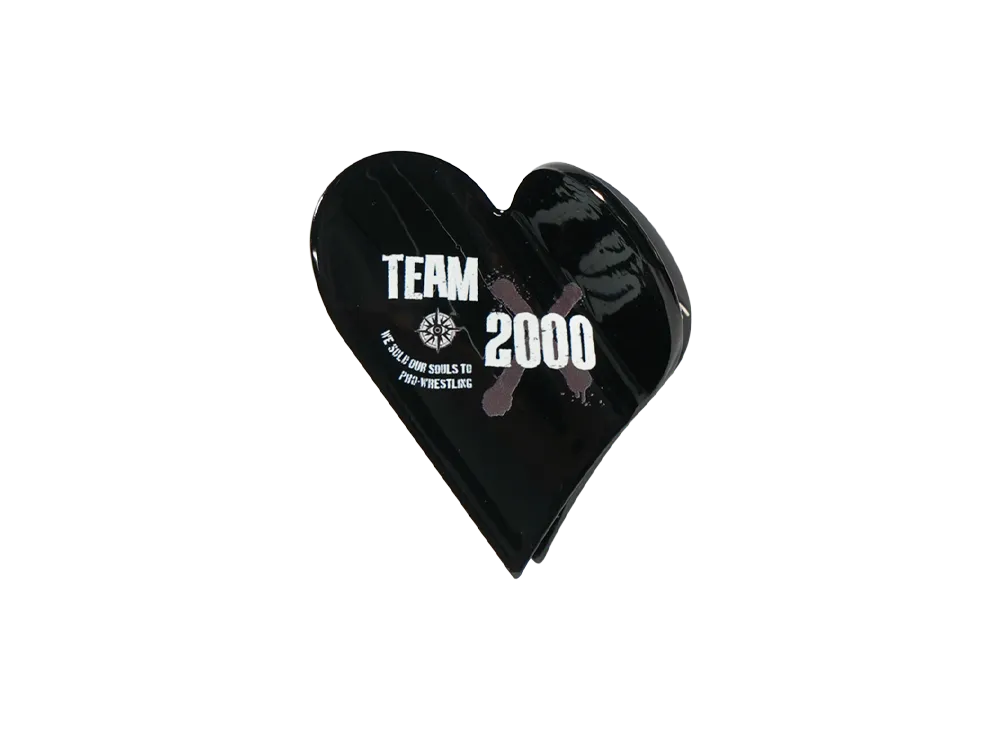 PRO WRESTLING NOAH 25th ANNIV \ ぱくちーひとみ TEAM 2000X HAIR CLIP "MULTI"