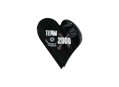 PRO WRESTLING NOAH 25th ANNIV \ ぱくちーひとみ TEAM 2000X HAIR CLIP "MULTI"